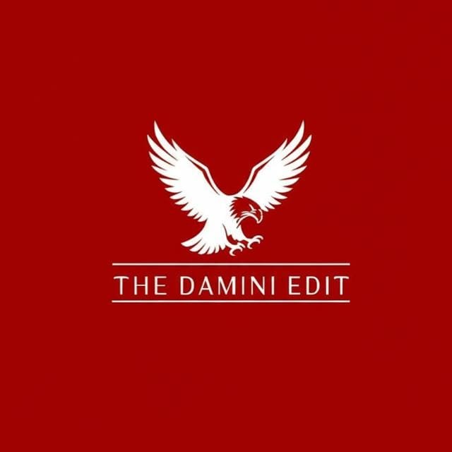 Damini
